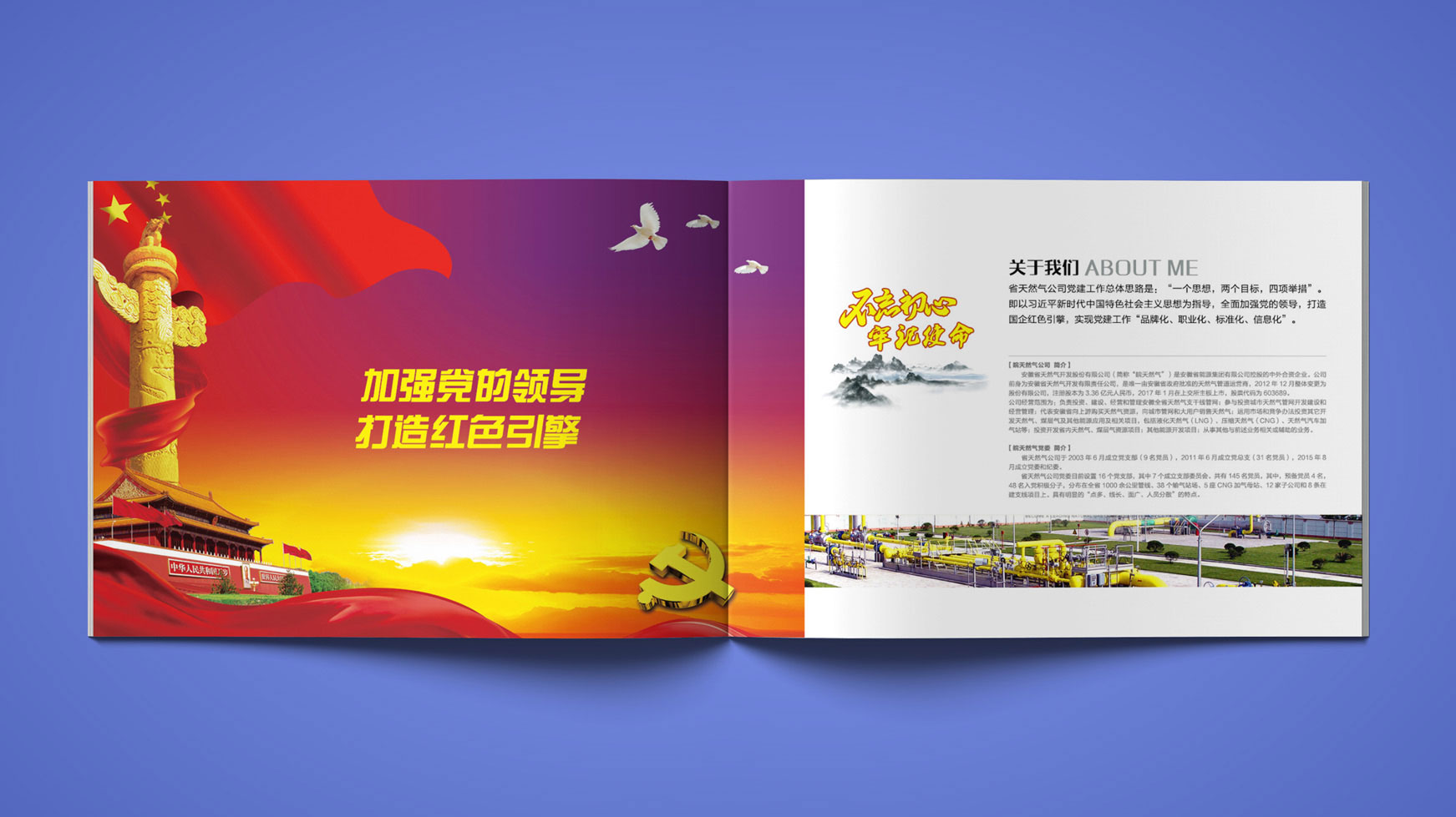 正南品牌设计