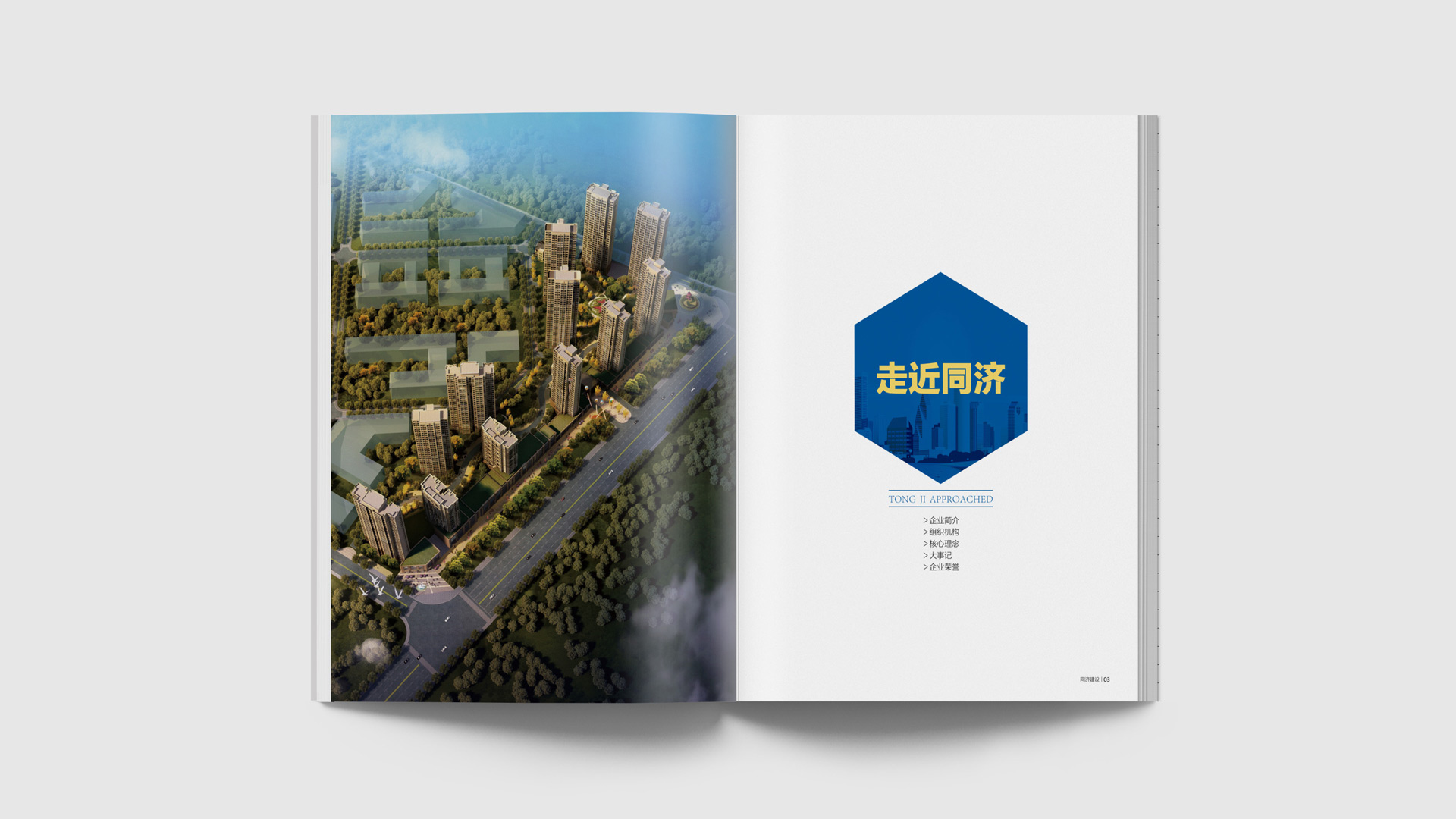 正南品牌设计