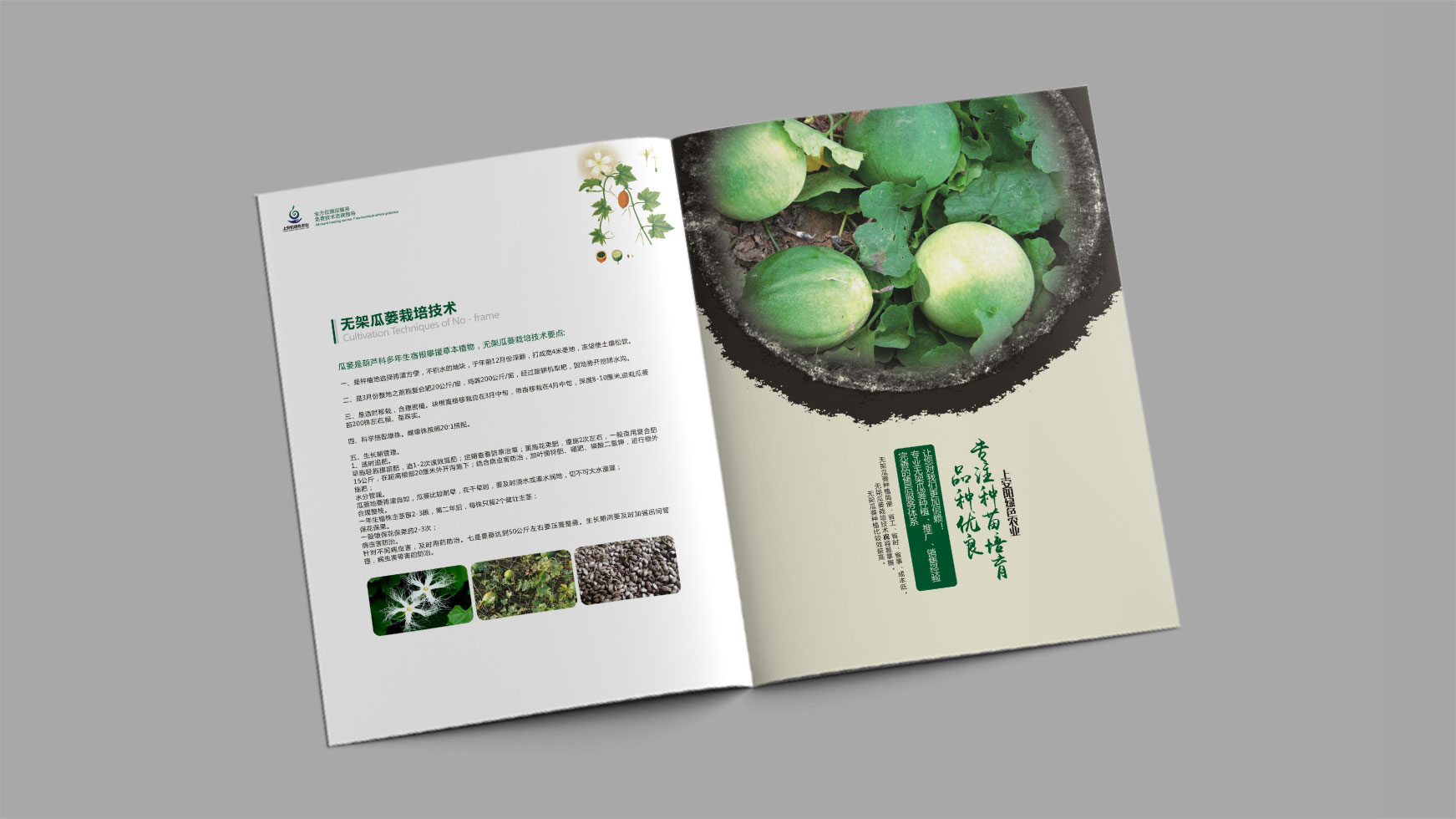 正南品牌设计
