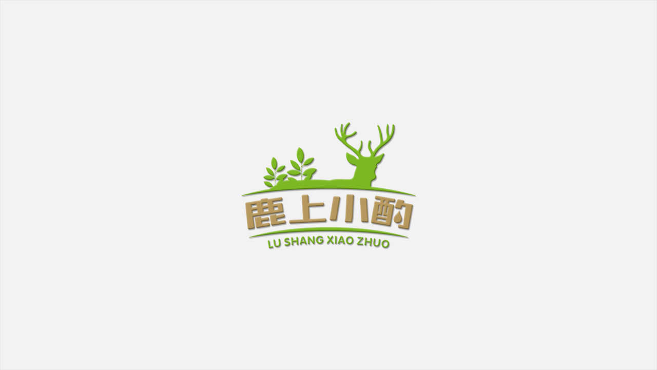 正南品牌设计