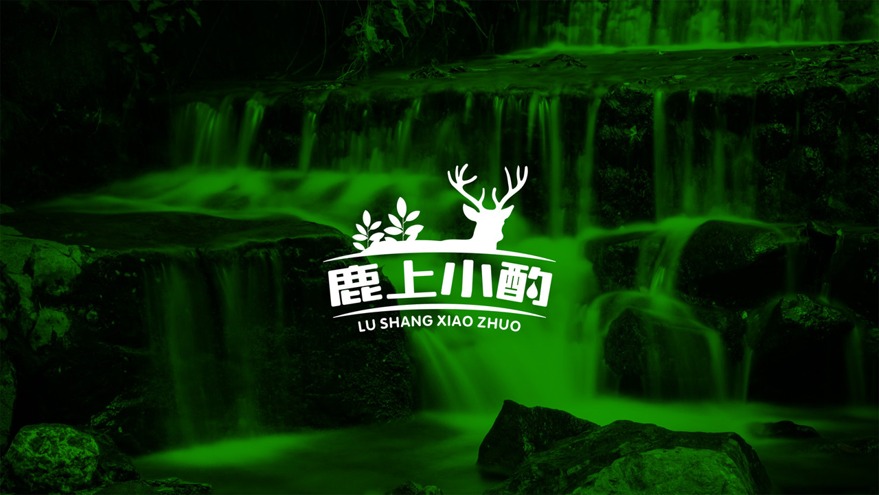 正南品牌设计