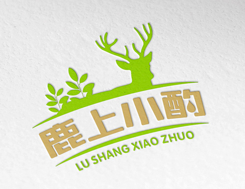 正南品牌设计