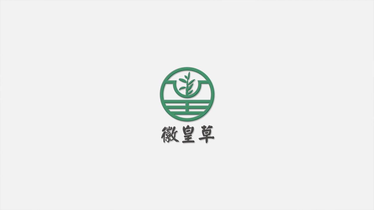 正南品牌设计