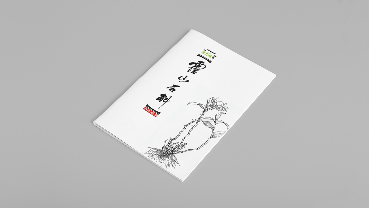 正南品牌设计