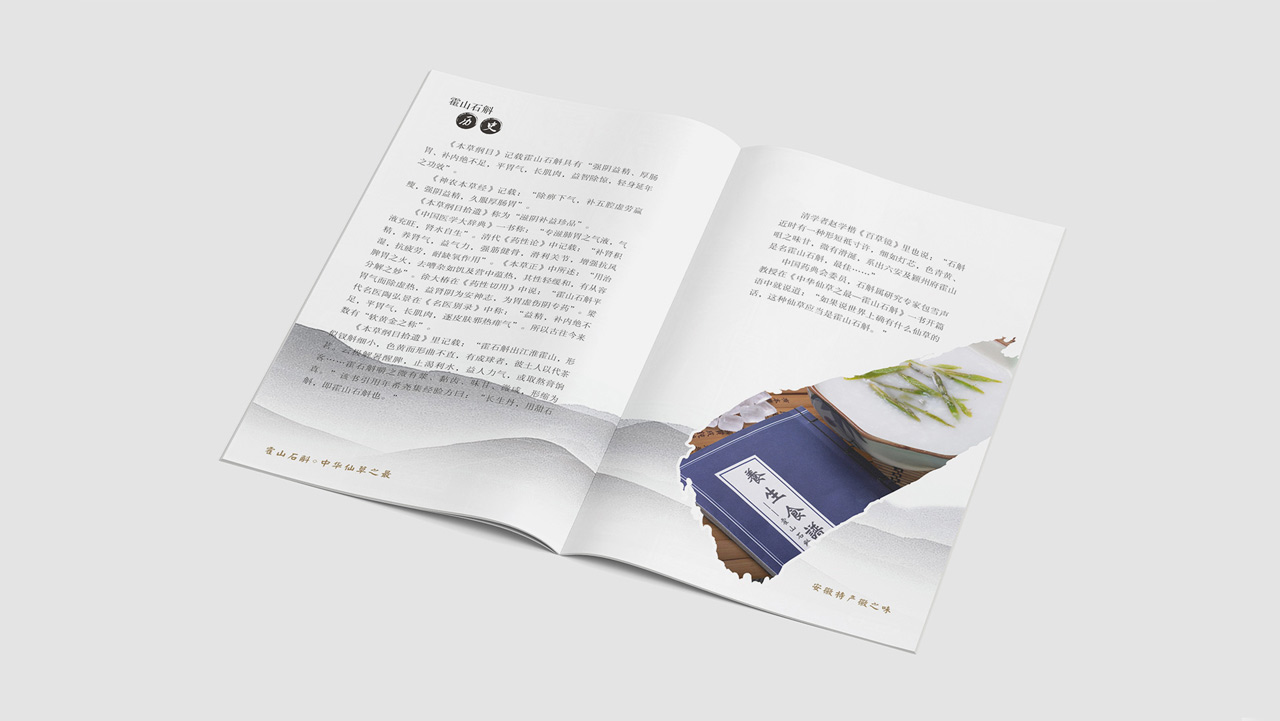 正南品牌设计