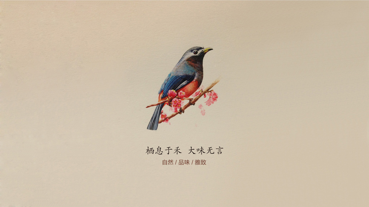 正南品牌设计