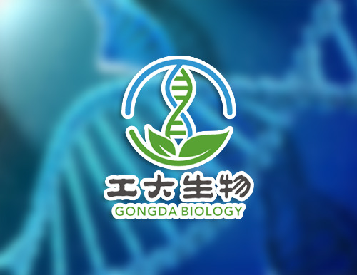 正南品牌设计