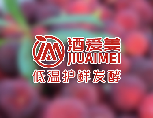 正南品牌设计