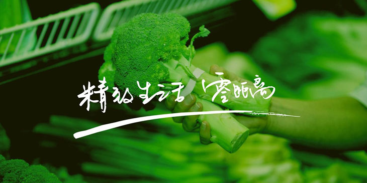 画册设计