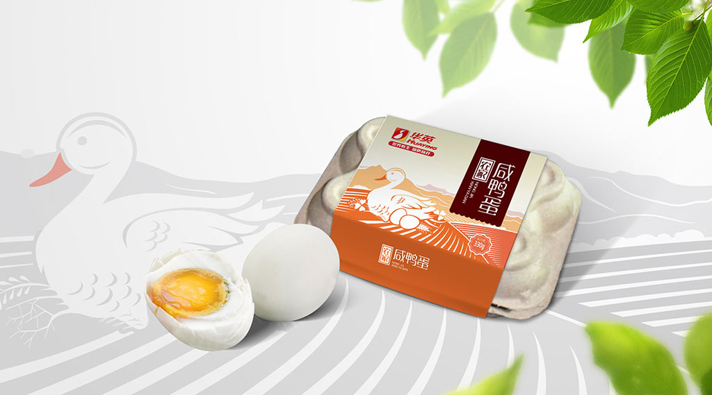 正南品牌设计包装设计
