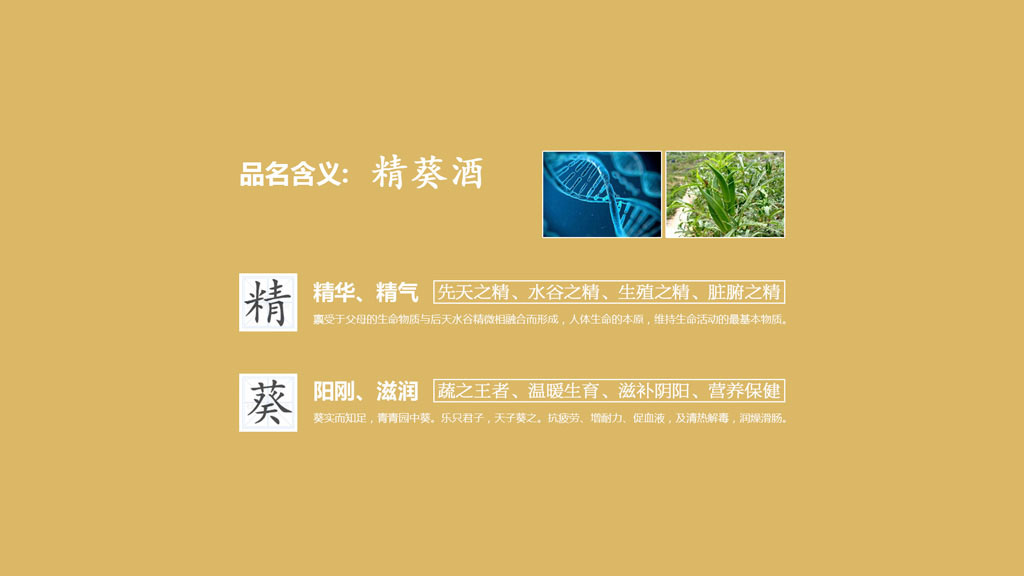 正南品牌设计