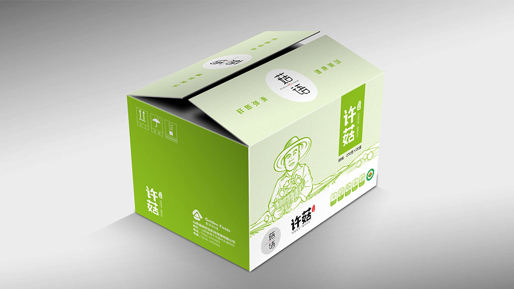 正南品牌设计